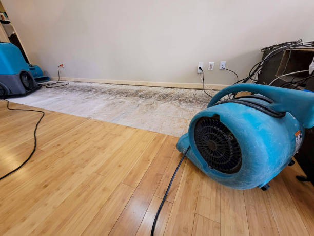 Professional Flood Damage Cleanup technician working in Edwardsville, IL